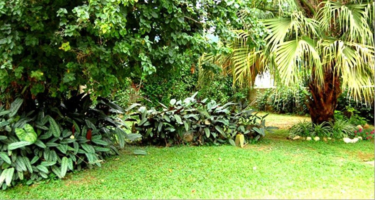 Hotel Primavera Penedo  Extérieur photo